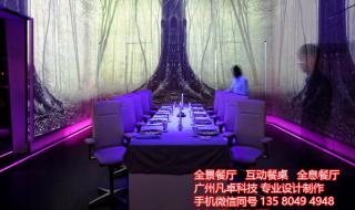 3d投影公司