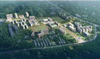 艺术类大学